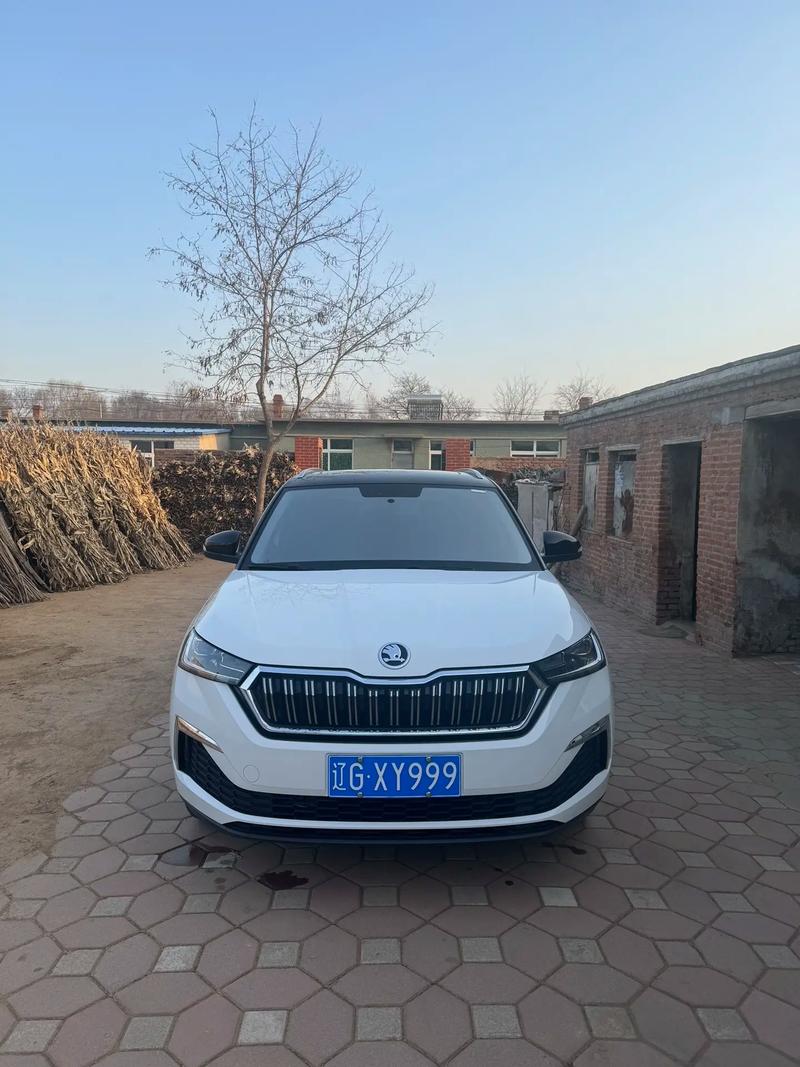 辽h是哪里的车牌／辽ha是哪的车