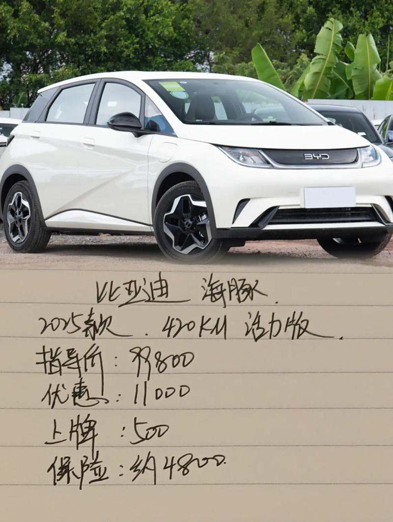 比亚迪海豚汽车报价及图片,比亚迪海豚最低价多少