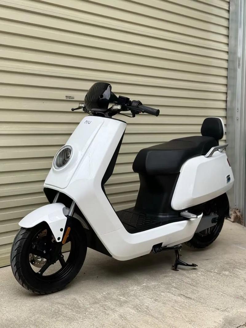 小牛报价及图片／小牛最新报价