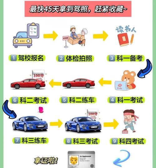 【学车,学车流程】