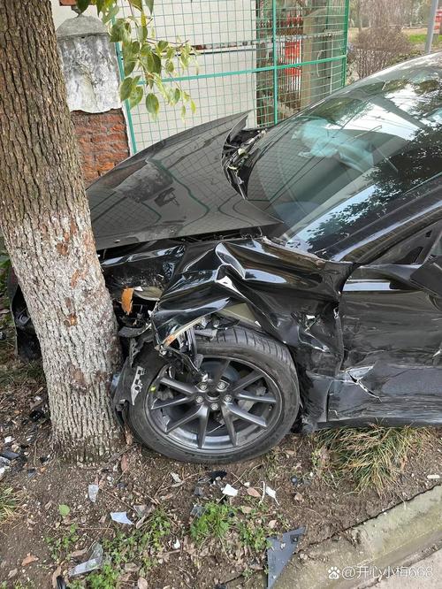 包含特斯拉撞车照片的词条