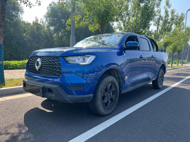 二手皮卡车交易市场 二手车市场皮卡车