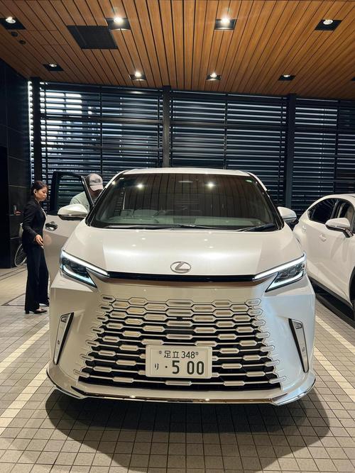 lm商务车多少钱一台/商务汽车多少钱